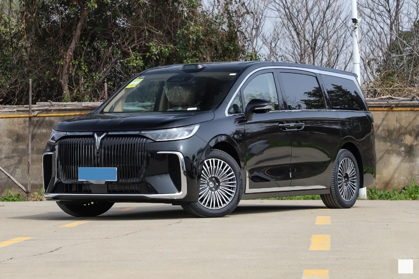 2024 Voyah Dream 1.5T 150HP L4 PHEV 43KWH,autocango,china used car exporter,china ev exporter,chinese used car exporter,chinese used ev exporter