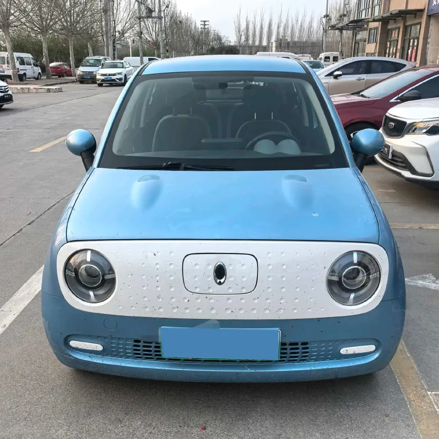 2021 Ora BlackCat BEV 30.3KWH,autocango,china used car exporter,china ev exporter,chinese used car exporter,chinese used ev exporter