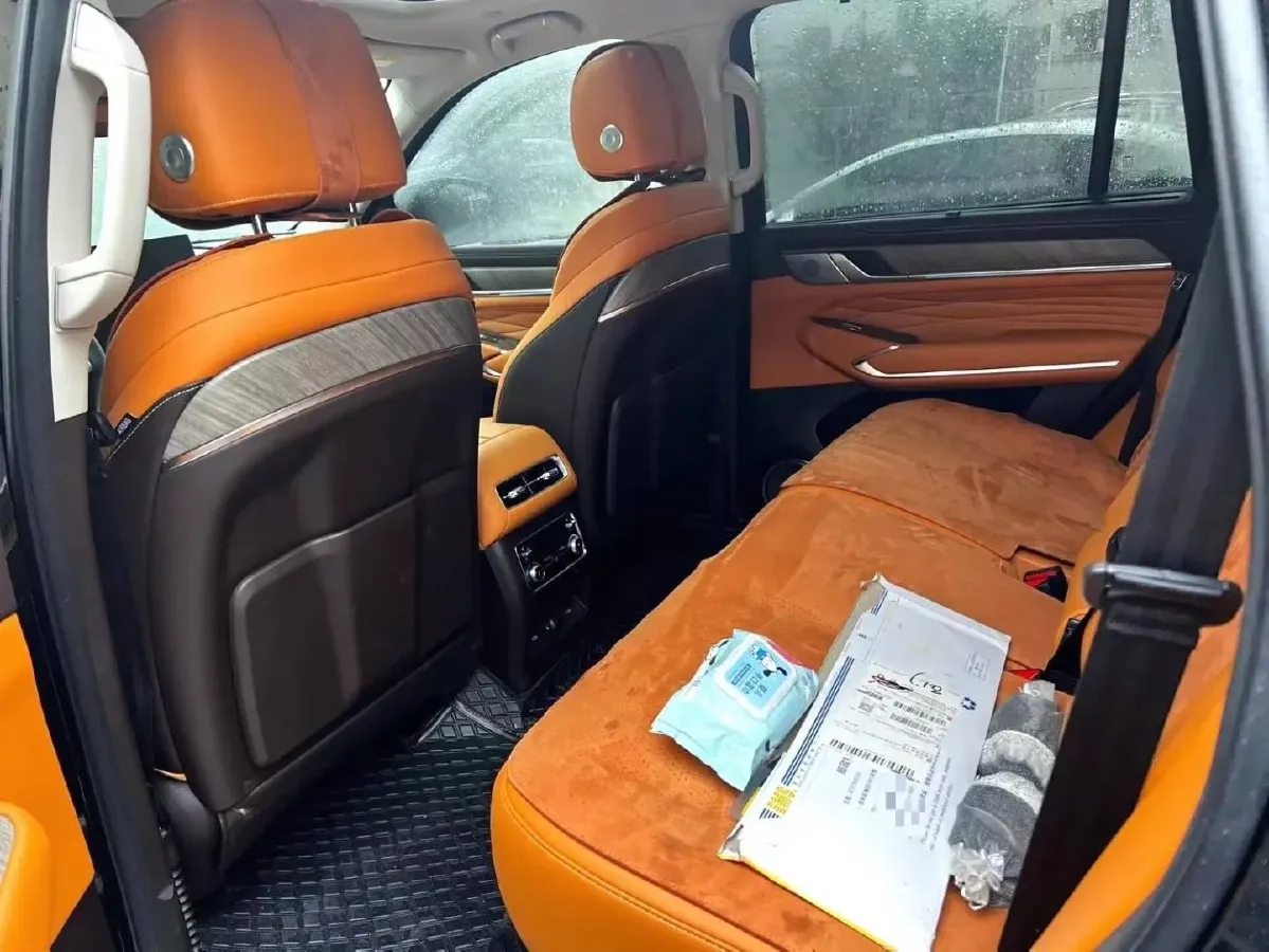 2026 Tank 500 2.0T 252HP L4 9AT PHEV,autocango,china used car exporter,china ev exporter,chinese used car exporter,chinese used ev exporter