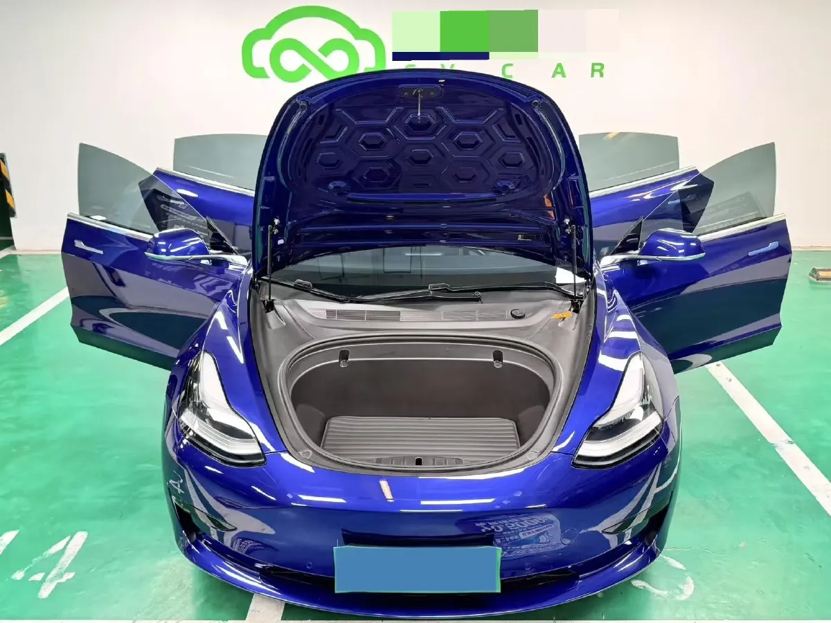 2020 Tesla Model 3 BEV 52KWH,autocango,china used car exporter,china ev exporter,chinese used car exporter,chinese used ev exporter