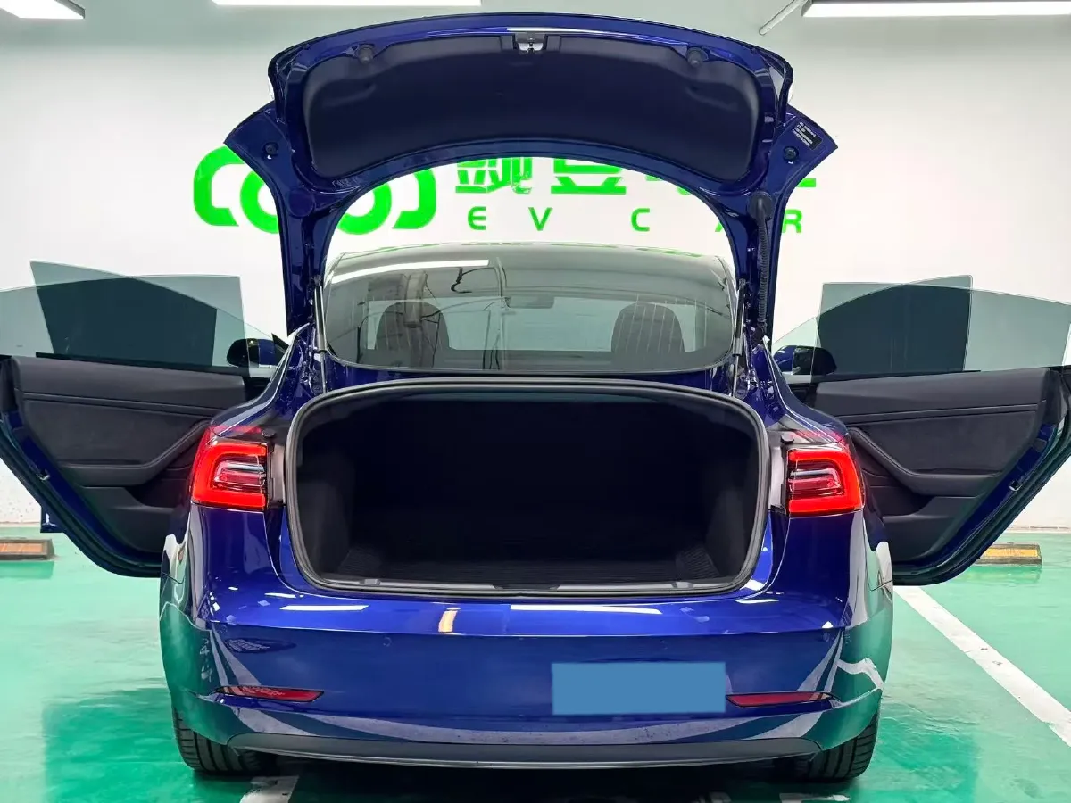2020 Tesla Model 3 BEV 52KWH,autocango,china used car exporter,china ev exporter,chinese used car exporter,chinese used ev exporter