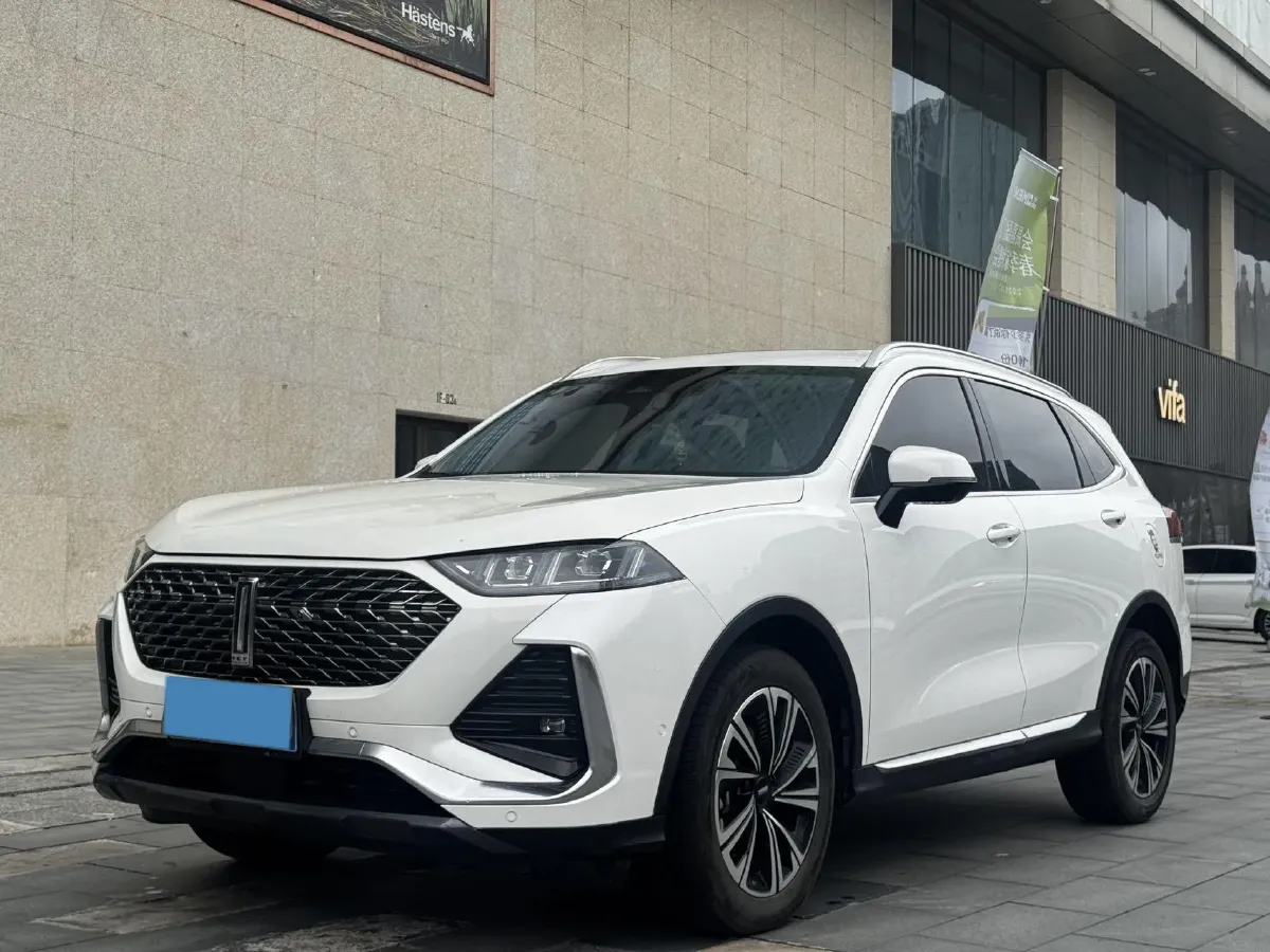 2022 WEY Latte DHT 1.5T 156HP L4 2DHT Hybrid,autocango,china used car exporter,china ev exporter,chinese used car exporter,chinese used ev exporter