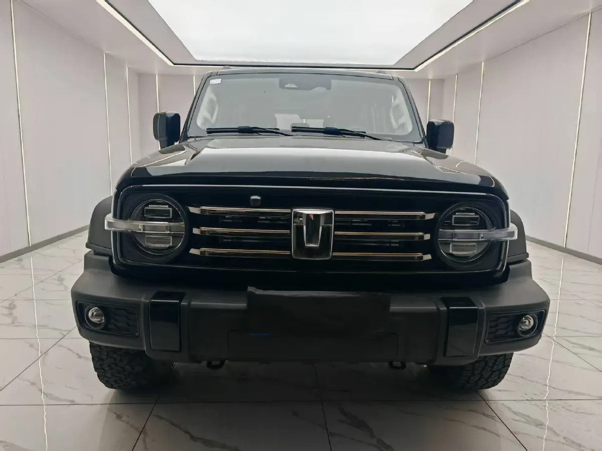 2021 Tank 300 2.0T 227HP L4 8AT,autocango,china used car exporter,china ev exporter,chinese used car exporter,chinese used ev exporter