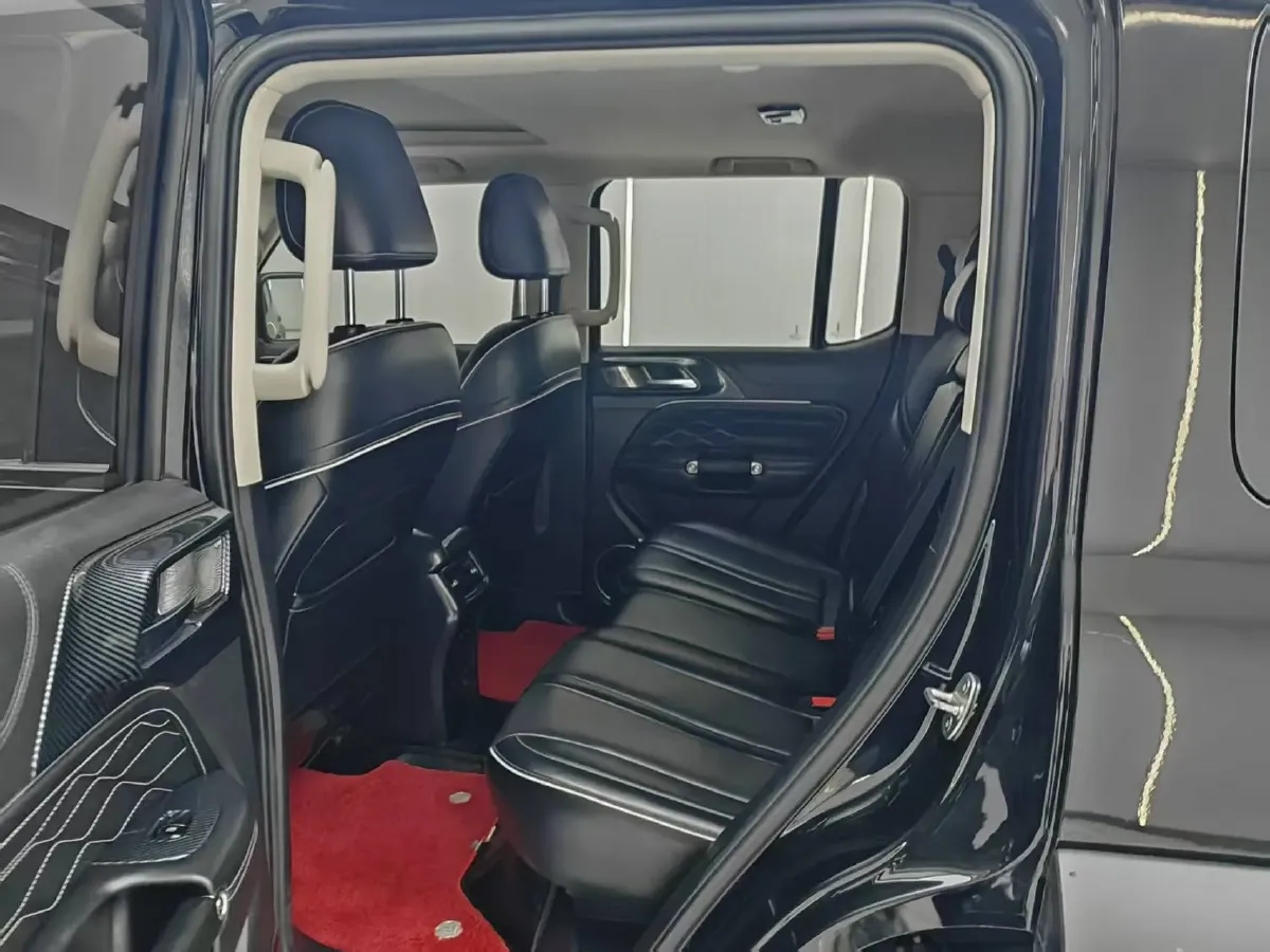 2021 Tank 300 2.0T 227HP L4 8AT,autocango,china used car exporter,china ev exporter,chinese used car exporter,chinese used ev exporter