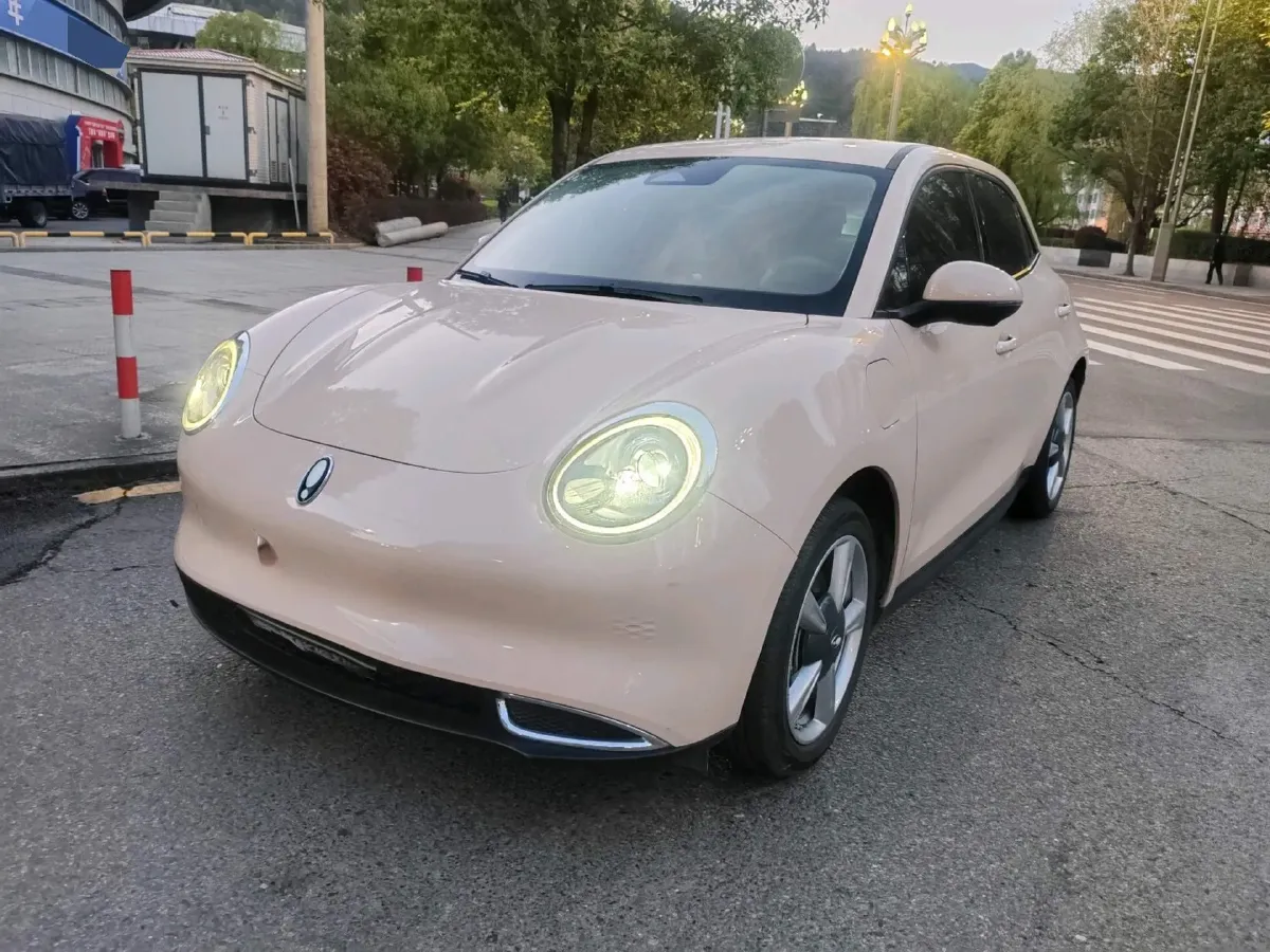 2023 Ora FunkyCat BEV 45.99KWH,autocango,china used car exporter,china ev exporter,chinese used car exporter,chinese used ev exporter