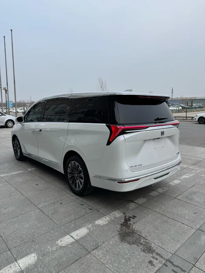 2025 Buick GL8 2.0T 237HP L4 9AT,autocango,china used car exporter,china ev exporter,chinese used car exporter,chinese used ev exporter
