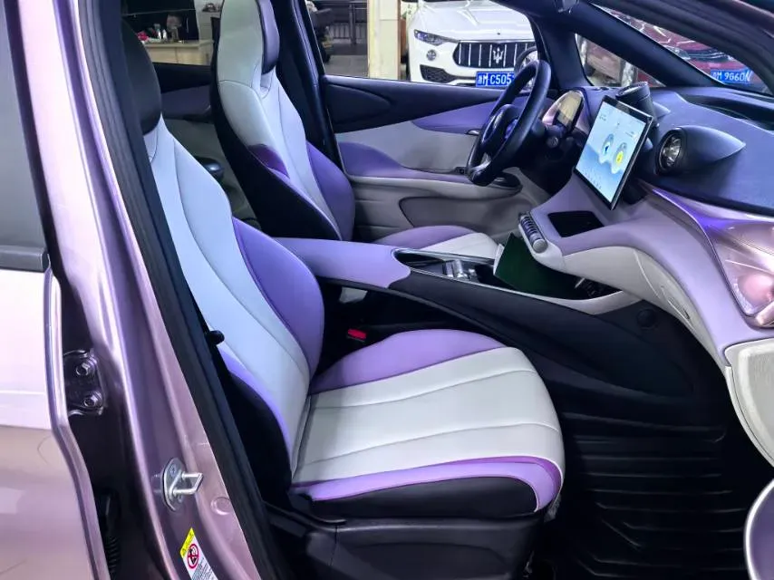 2021 BYD Yuan Pro BEV 50.1KWH,autocango,china used car exporter,china ev exporter,chinese used car exporter,chinese used ev exporter