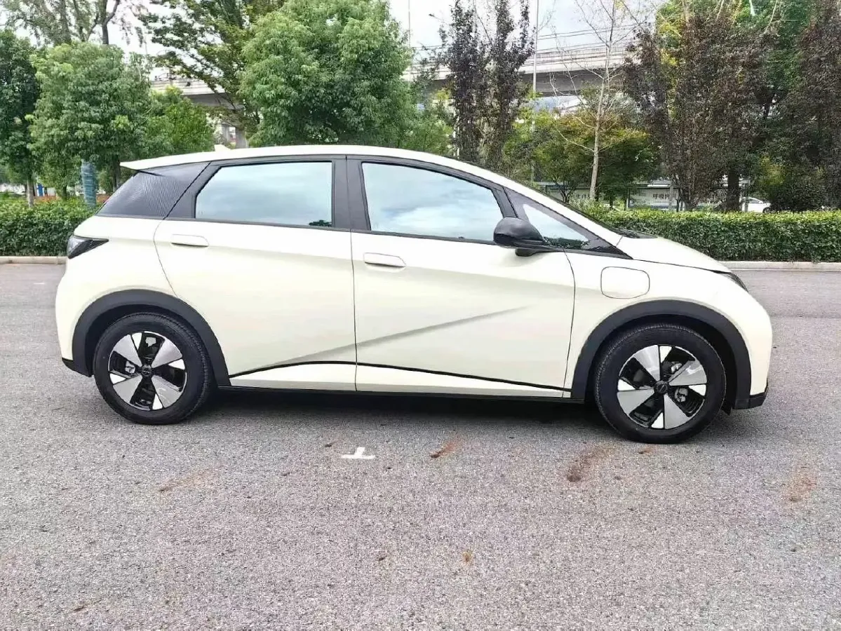 2021 BYD Yuan Pro BEV 50.1KWH,autocango,china used car exporter,china ev exporter,chinese used car exporter,chinese used ev exporter