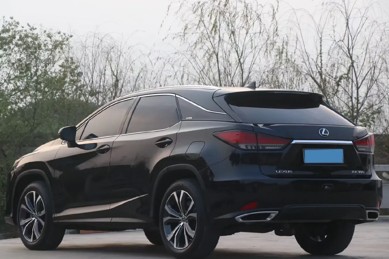2021 Lexus RX 2.0T 231HP L4 6AT,autocango,china used car exporter,china ev exporter,chinese used car exporter,chinese used ev exporter
