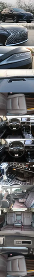 2021 Lexus RX 2.0T 231HP L4 6AT,autocango,china used car exporter,china ev exporter,chinese used car exporter,chinese used ev exporter