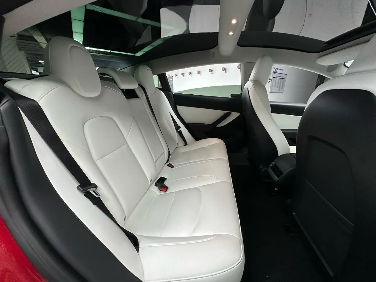 2020 Tesla Model 3 BEV 55KWH,autocango,china used car exporter,china ev exporter,chinese used car exporter,chinese used ev exporter