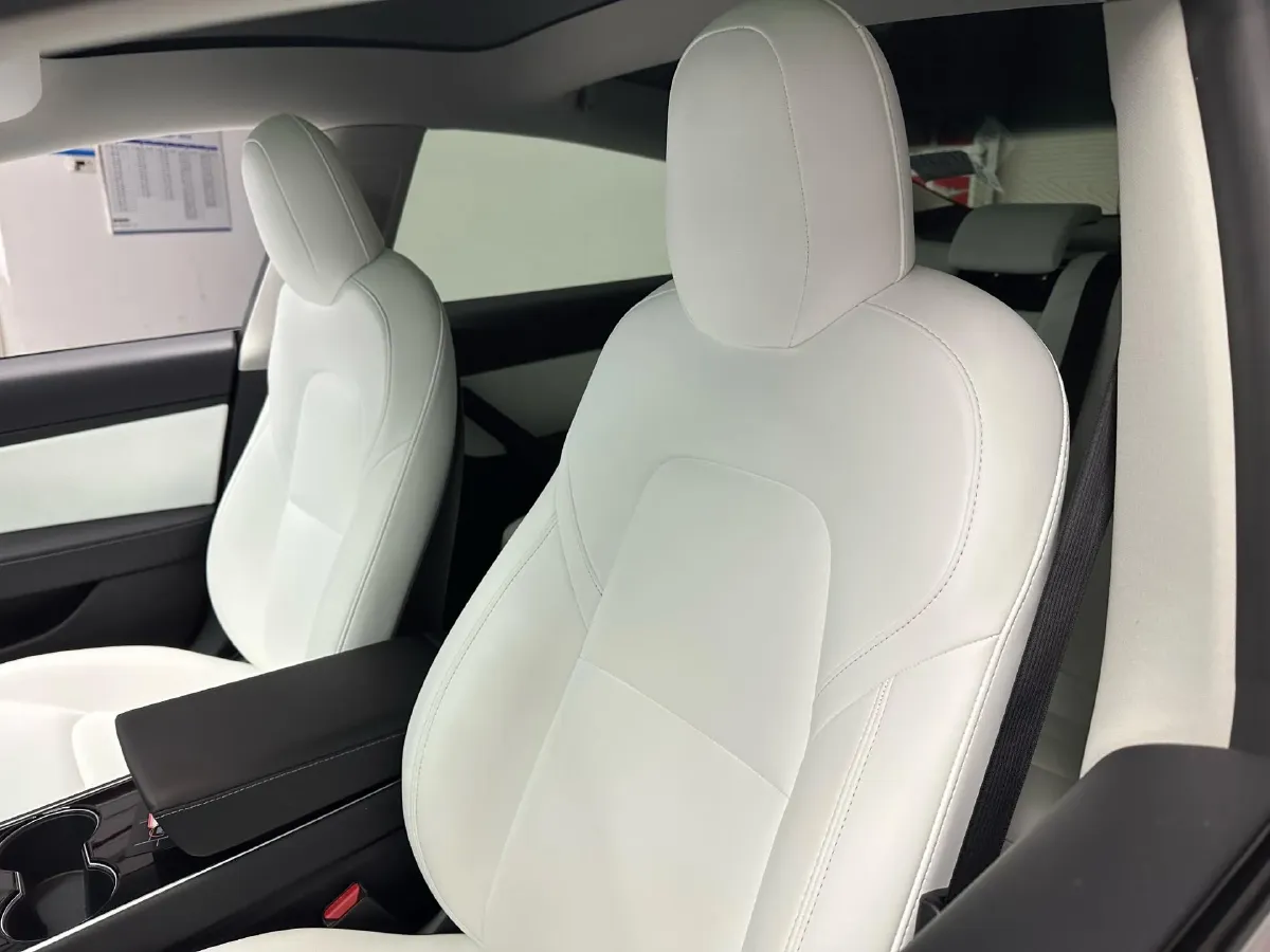 2020 Tesla Model 3 BEV 55KWH,autocango,china used car exporter,china ev exporter,chinese used car exporter,chinese used ev exporter