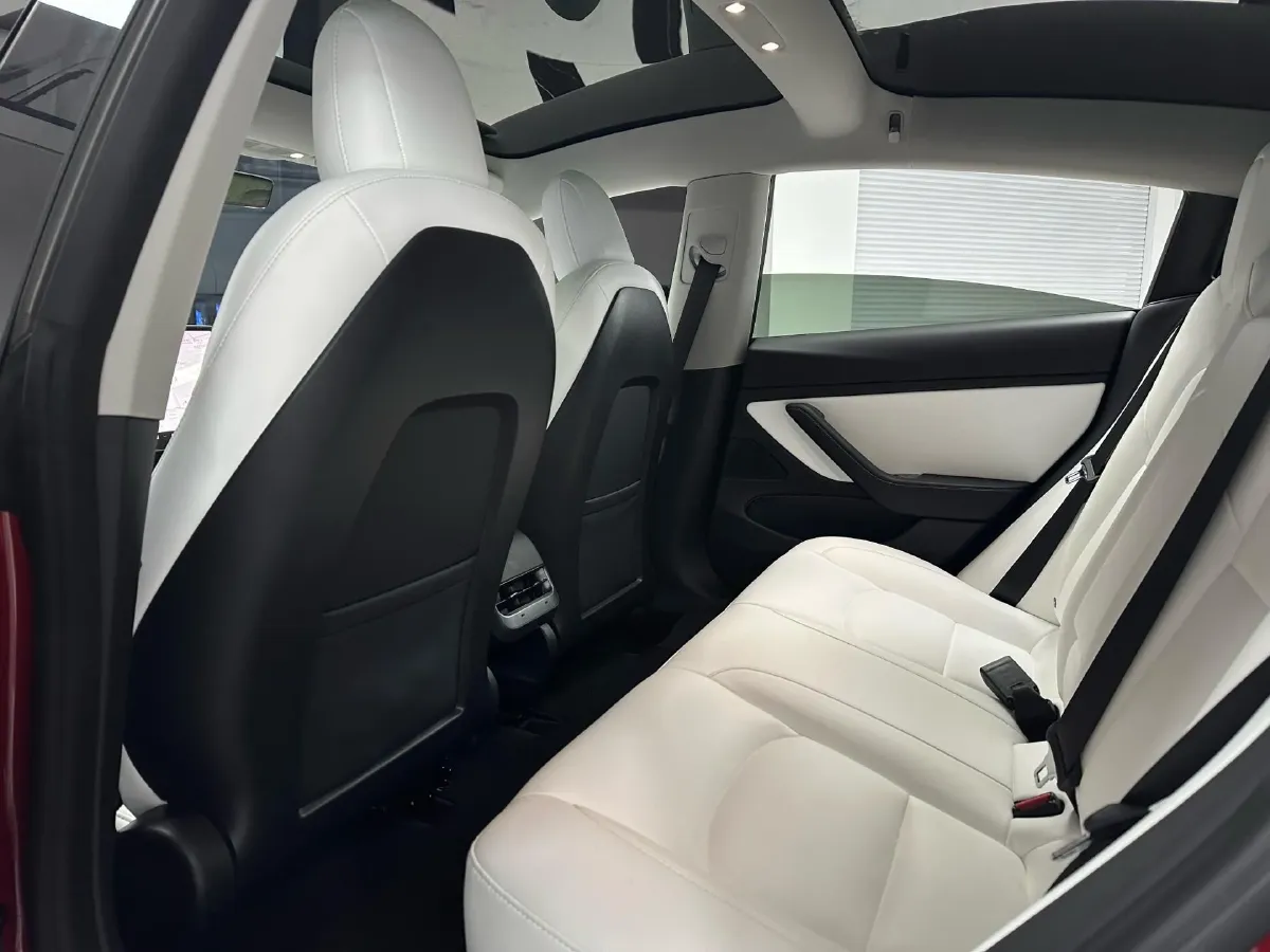 2020 Tesla Model 3 BEV 55KWH,autocango,china used car exporter,china ev exporter,chinese used car exporter,chinese used ev exporter
