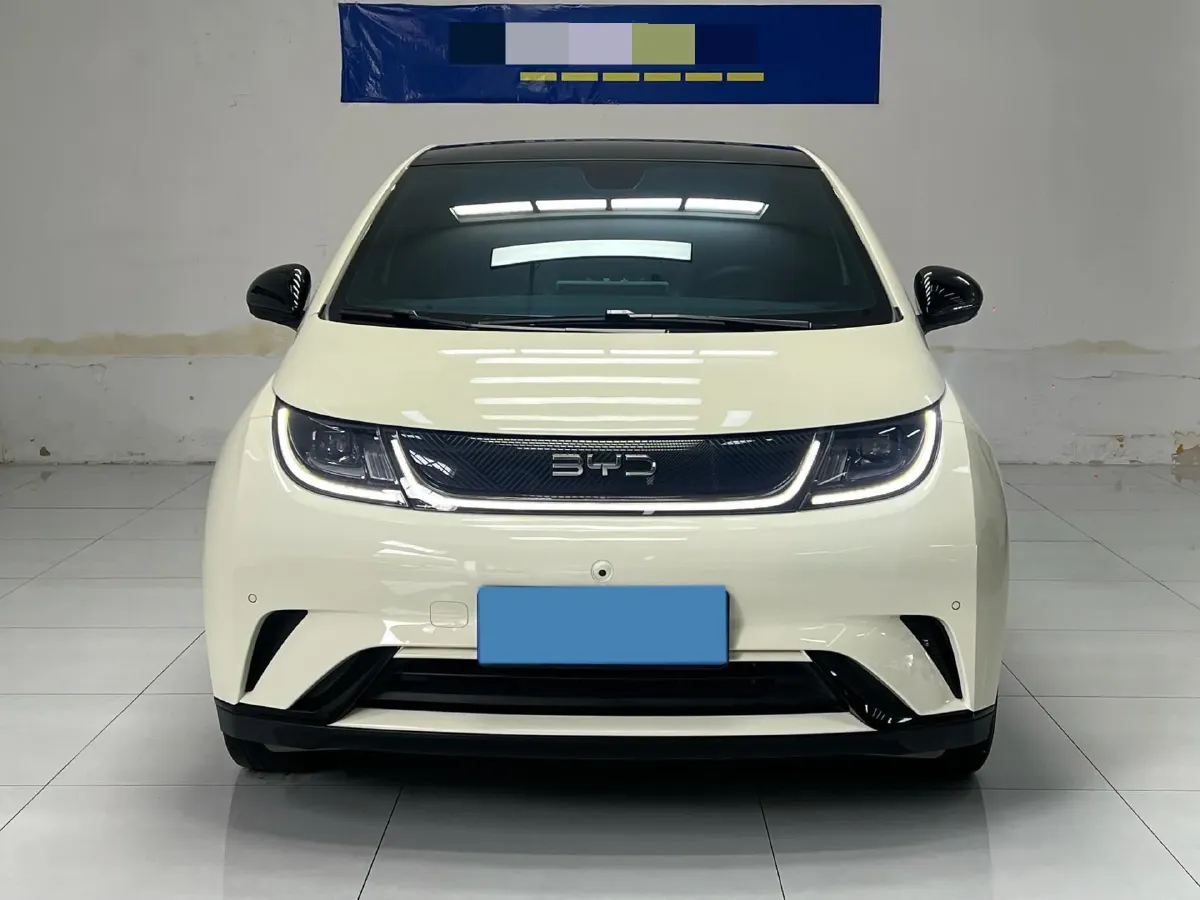 2024 BYD Dolphin BEV 44.928KWH,autocango,china used car exporter,china ev exporter,chinese used car exporter,chinese used ev exporter