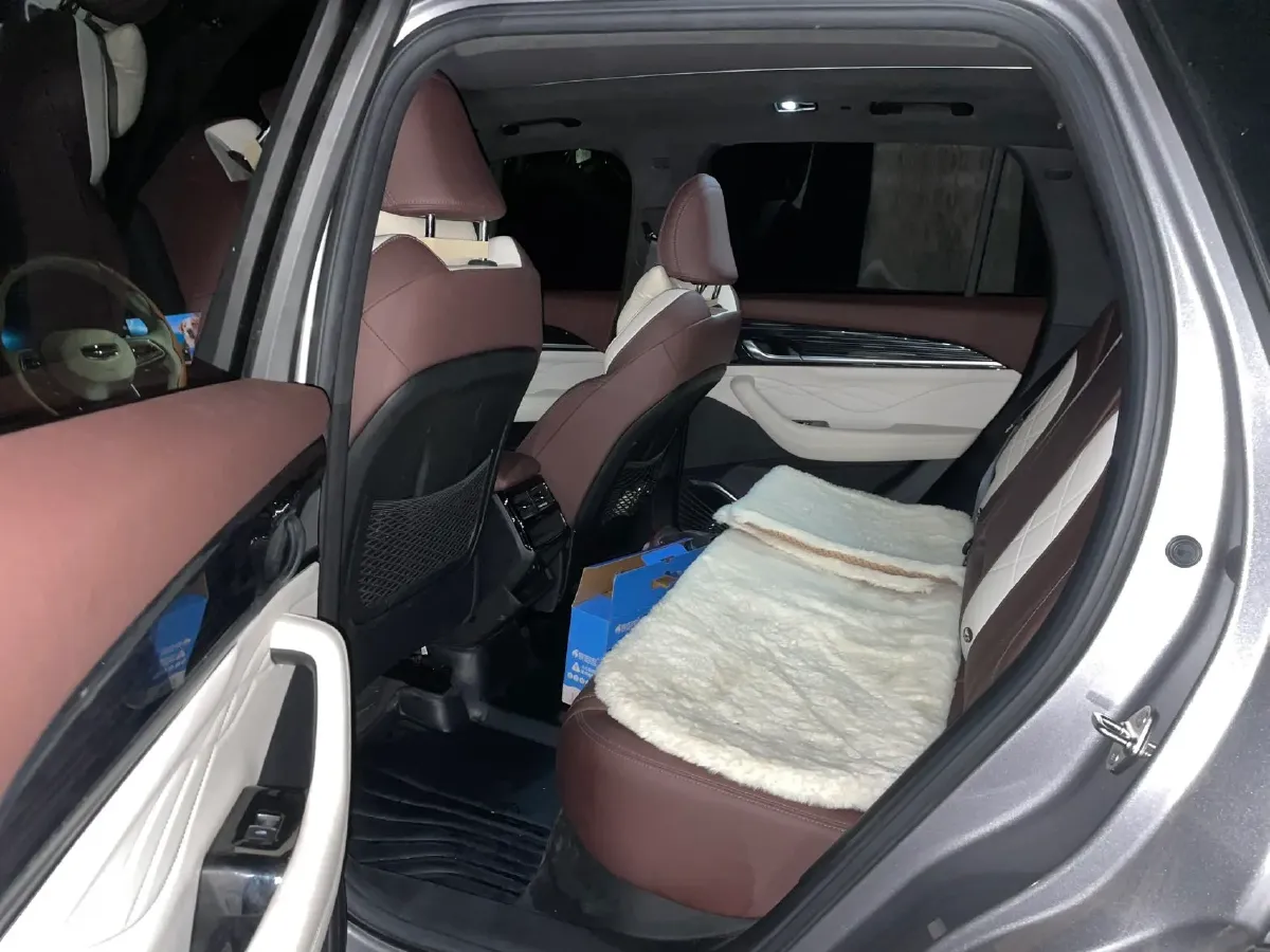 2024 Geely Monjaro 2.0T 238HP L4 8AT,autocango,china used car exporter,china ev exporter,chinese used car exporter,chinese used ev exporter