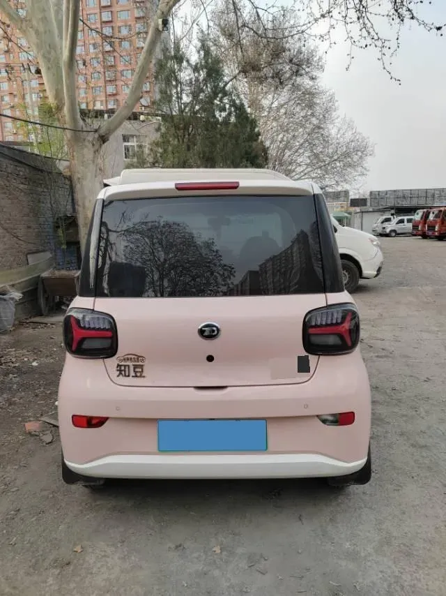 2024 ZD Rainbow BEV 17.3KWH,autocango,china used car exporter,china ev exporter,chinese used car exporter,chinese used ev exporter