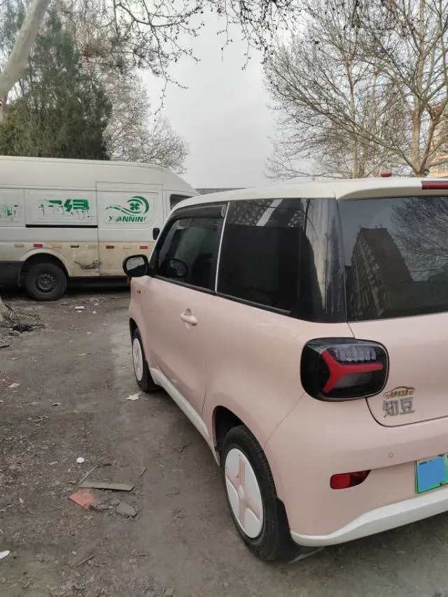 2024 ZD Rainbow BEV 17.3KWH,autocango,china used car exporter,china ev exporter,chinese used car exporter,chinese used ev exporter