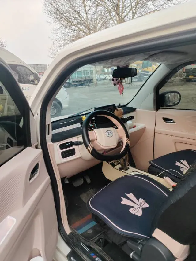 2024 ZD Rainbow BEV 17.3KWH,autocango,china used car exporter,china ev exporter,chinese used car exporter,chinese used ev exporter