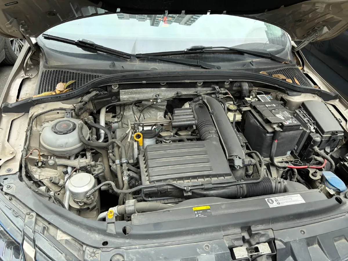 2019 Skoda Octavia 1.2T 116HP L4 7DCT,autocango,china used car exporter,china ev exporter,chinese used car exporter,chinese used ev exporter