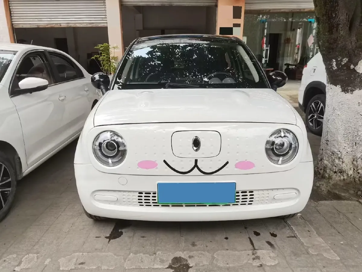 2022 Ora BlackCat BEV 30.3KWH,autocango,china used car exporter,china ev exporter,chinese used car exporter,chinese used ev exporter