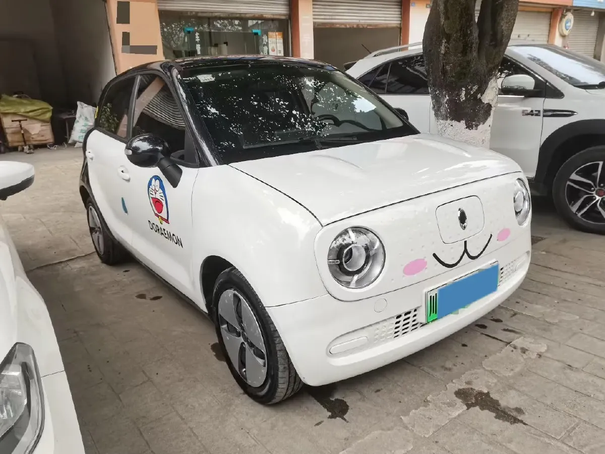 2022 Ora BlackCat BEV 30.3KWH,autocango,china used car exporter,china ev exporter,chinese used car exporter,chinese used ev exporter