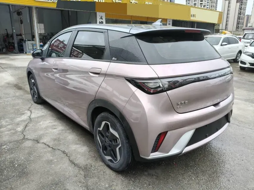 2021 BYD Yuan Pro BEV 50.1KWH,autocango,china used car exporter,china ev exporter,chinese used car exporter,chinese used ev exporter