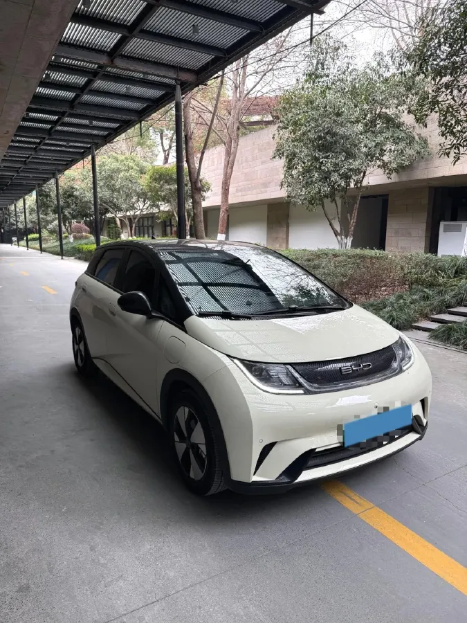 2023 BYD Dolphin BEV 44.928KWH,autocango,china used car exporter,china ev exporter,chinese used car exporter,chinese used ev exporter