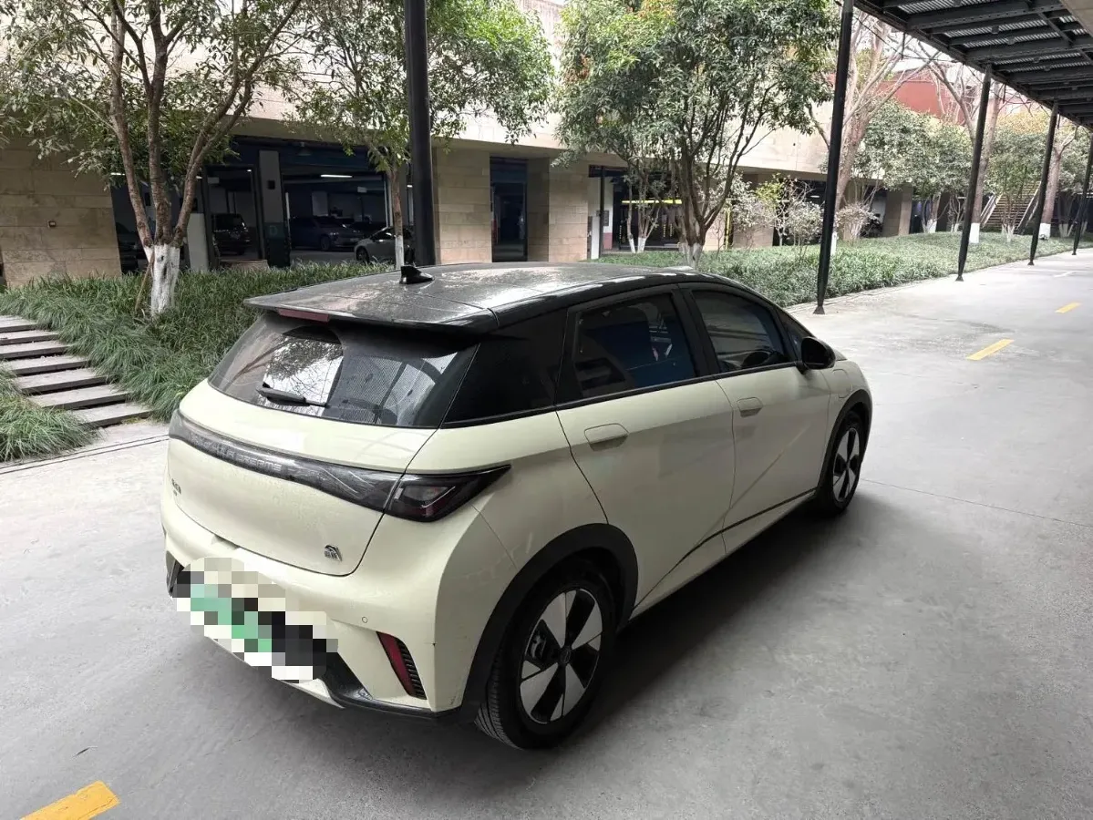 2023 BYD Dolphin BEV 44.928KWH,autocango,china used car exporter,china ev exporter,chinese used car exporter,chinese used ev exporter