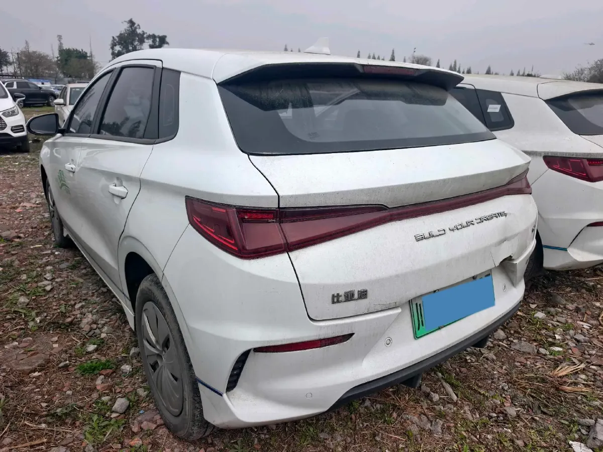 2021 BYD Dolphin BEV 30.7KWH,autocango,china used car exporter,china ev exporter,chinese used car exporter,chinese used ev exporter