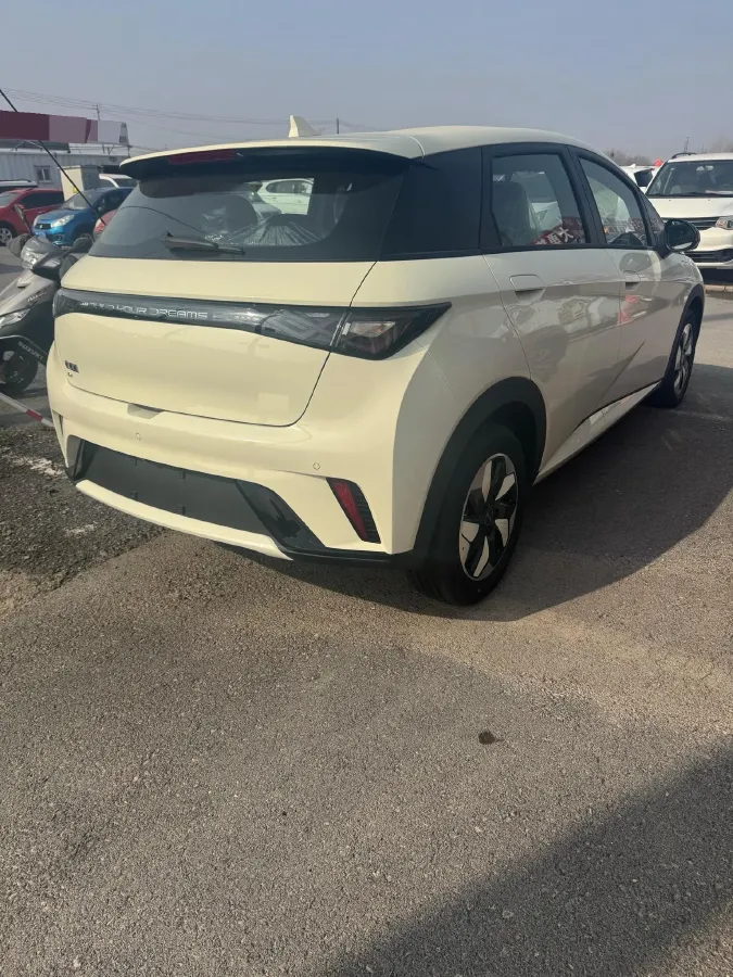 2025 BYD Dolphin BEV 44.928KWH,autocango,china used car exporter,china ev exporter,chinese used car exporter,chinese used ev exporter