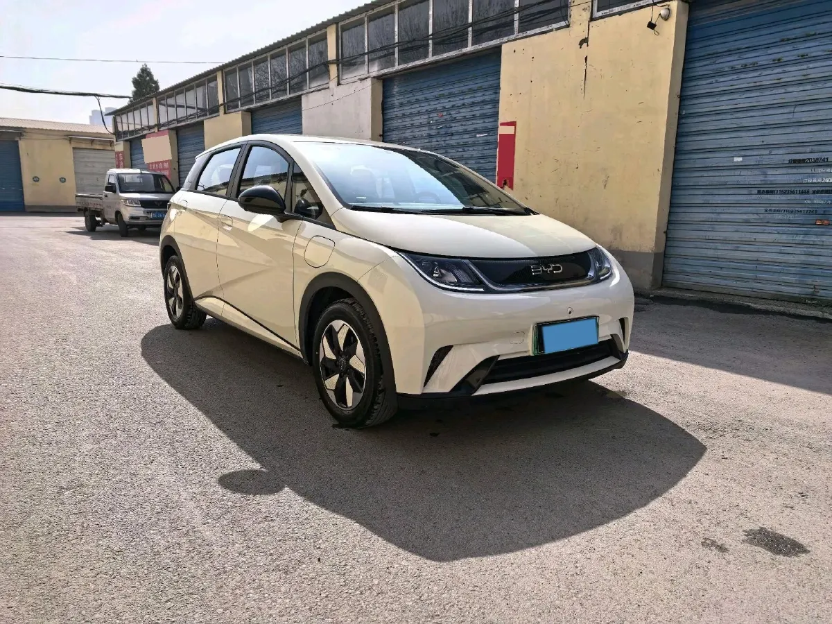 2025 BYD Dolphin BEV 44.928KWH,autocango,china used car exporter,china ev exporter,chinese used car exporter,chinese used ev exporter