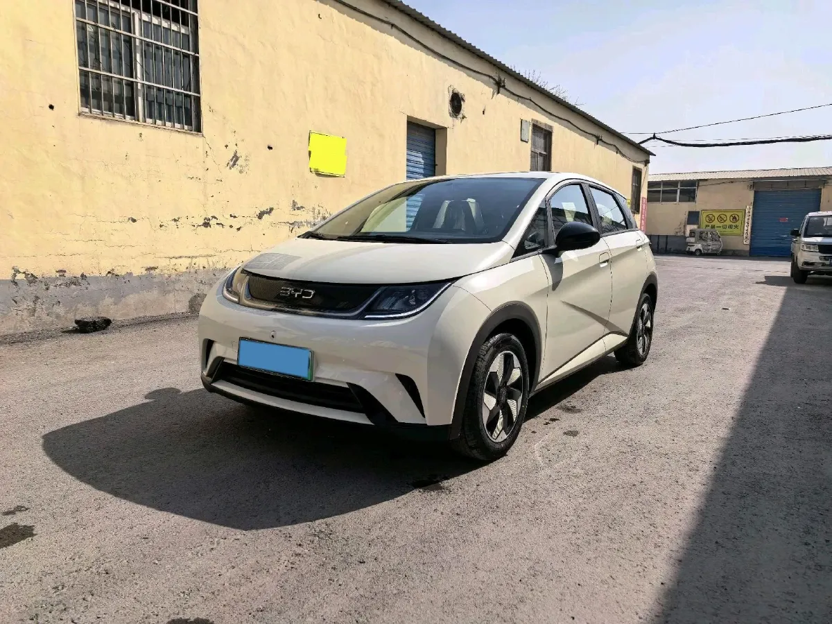 2025 BYD Dolphin BEV 44.928KWH,autocango,china used car exporter,china ev exporter,chinese used car exporter,chinese used ev exporter