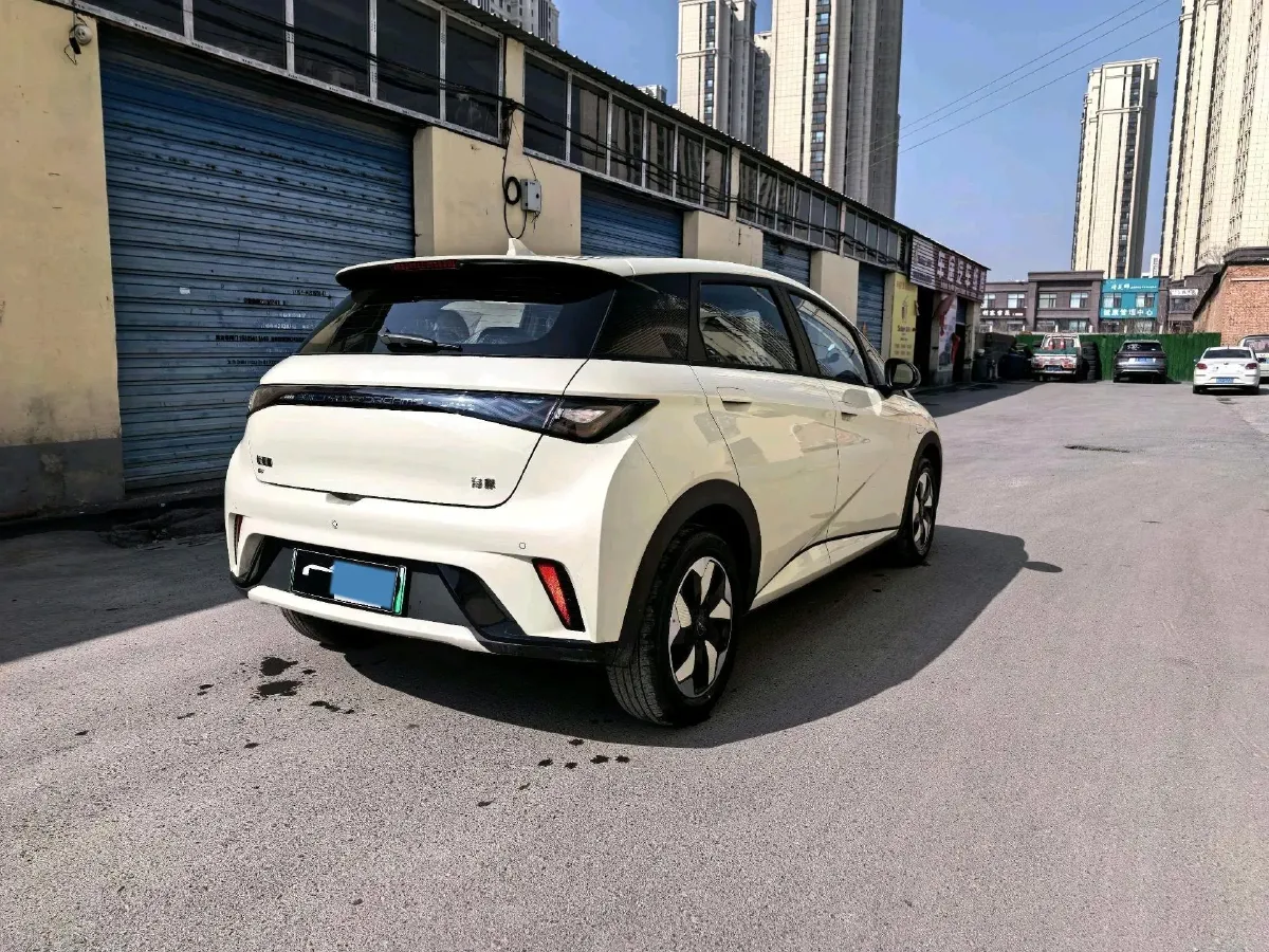 2025 BYD Dolphin BEV 44.928KWH,autocango,china used car exporter,china ev exporter,chinese used car exporter,chinese used ev exporter