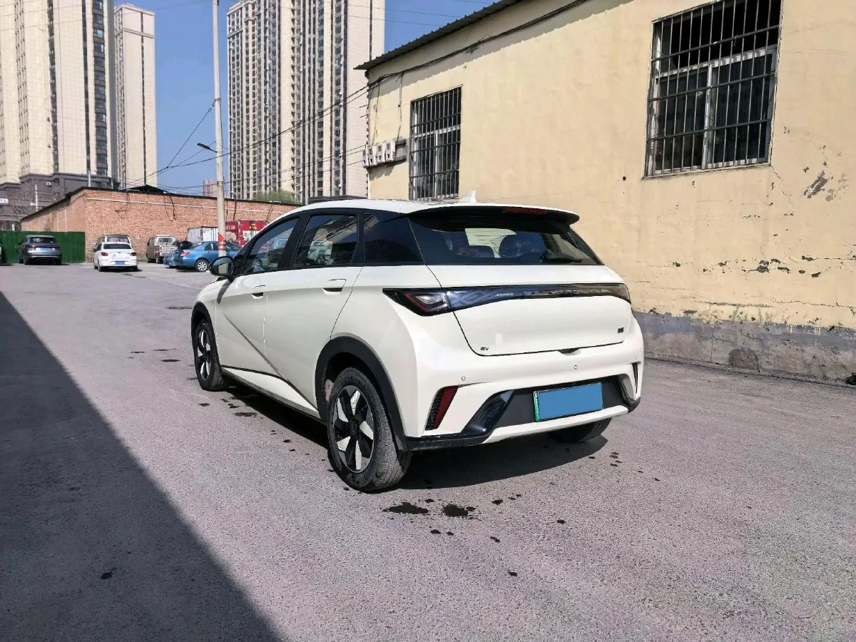 2025 BYD Dolphin BEV 44.928KWH,autocango,china used car exporter,china ev exporter,chinese used car exporter,chinese used ev exporter