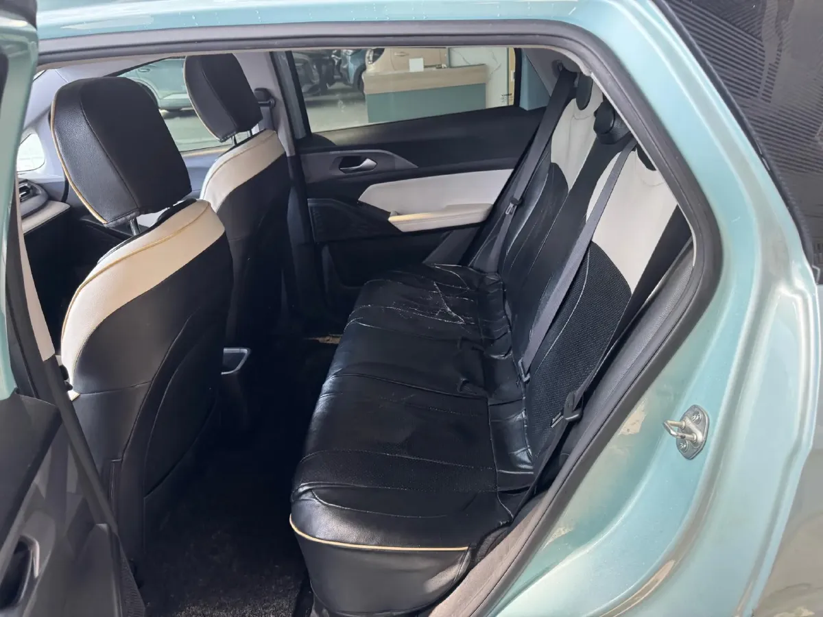 2024 Geometry E BEV 29.67KWH,autocango,china used car exporter,china ev exporter,chinese used car exporter,chinese used ev exporter