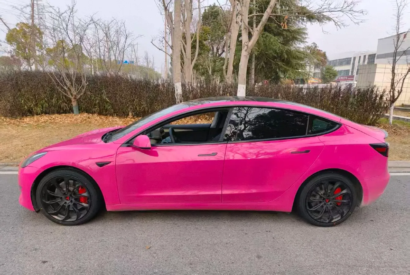 2021 Tesla Model 3 BEV 76.8KWH,autocango,china used car exporter,china ev exporter,chinese used car exporter,chinese used ev exporter