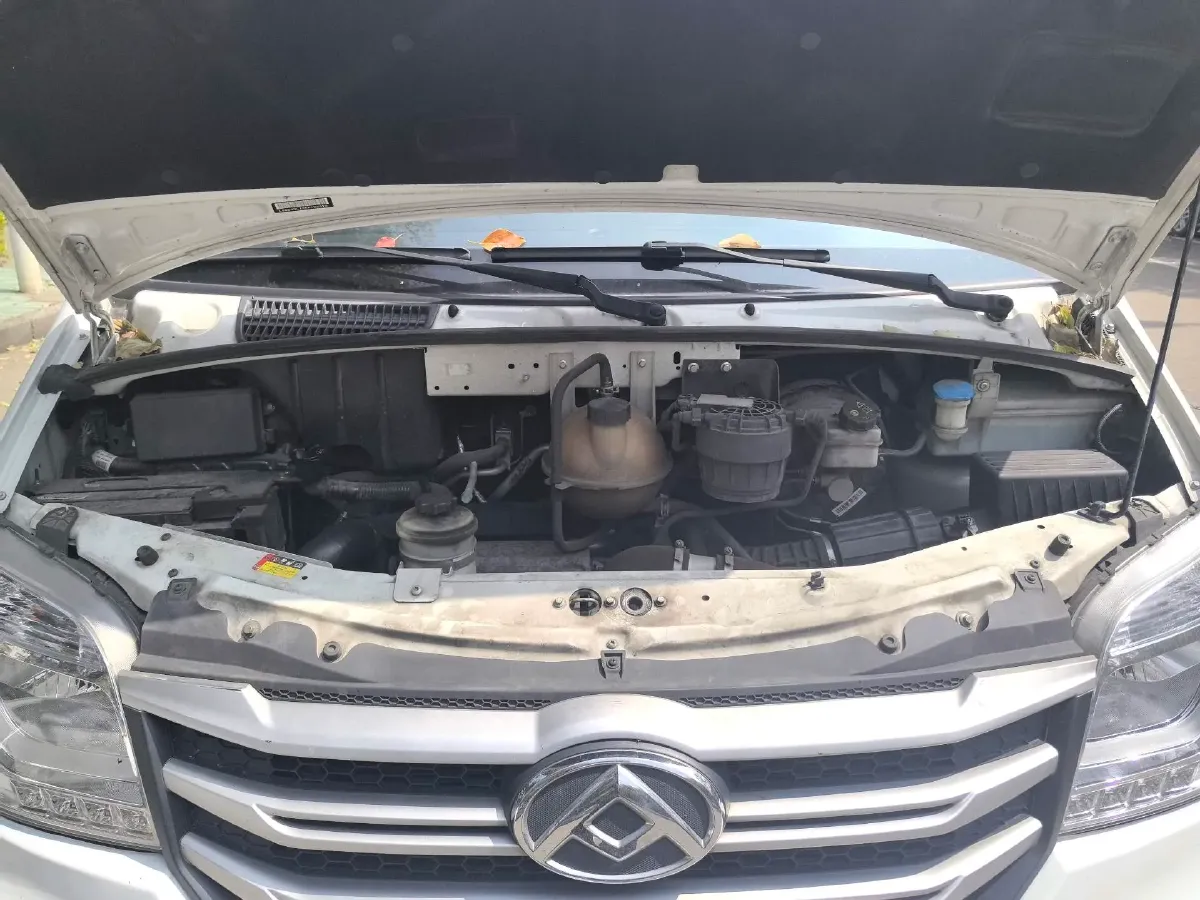 2023 Foton Mars 2.0T 163HP L4 6MT,autocango,china used car exporter,china ev exporter,chinese used car exporter,chinese used ev exporter