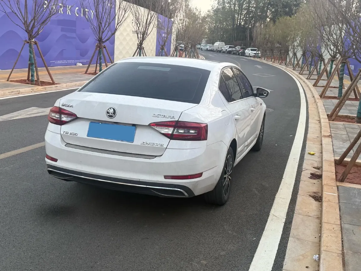 2018 Skoda Octavia 1.2T 116HP L4 7DCT,autocango,china used car exporter,china ev exporter,chinese used car exporter,chinese used ev exporter