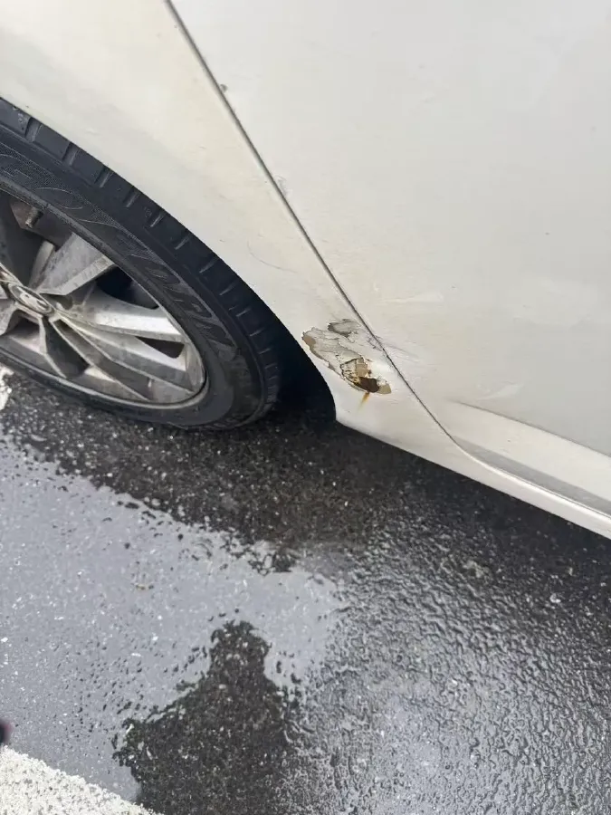 2017 Skoda Octavia 1.6L 110HP L4 6AT,autocango,china used car exporter,china ev exporter,chinese used car exporter,chinese used ev exporter