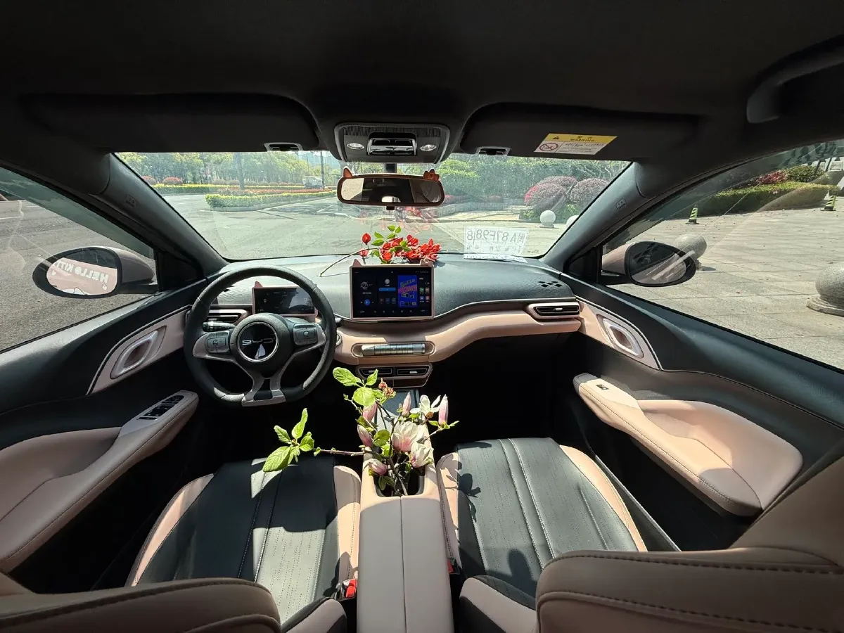 2024 BYD Seagull BEV 30.08KWH,autocango,china used car exporter,china ev exporter,chinese used car exporter,chinese used ev exporter