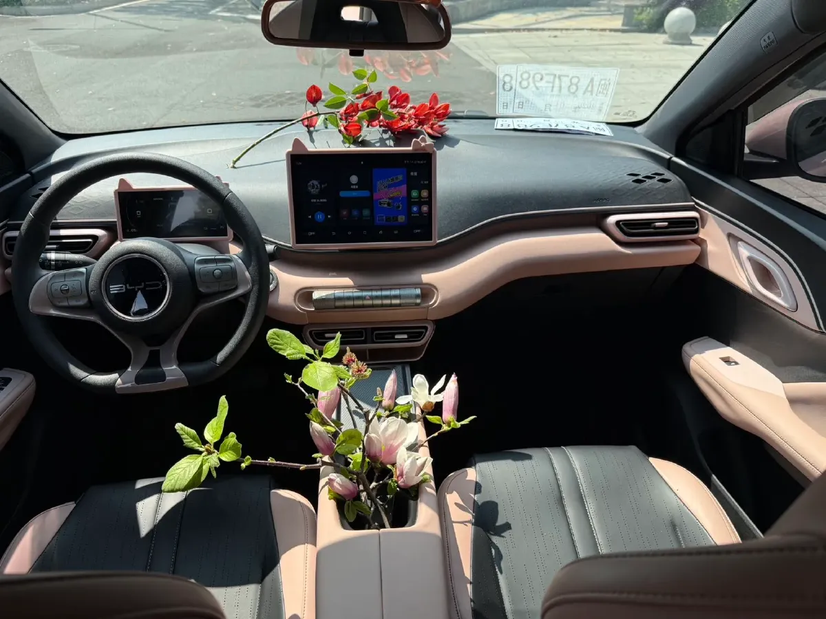 2024 BYD Seagull BEV 30.08KWH,autocango,china used car exporter,china ev exporter,chinese used car exporter,chinese used ev exporter