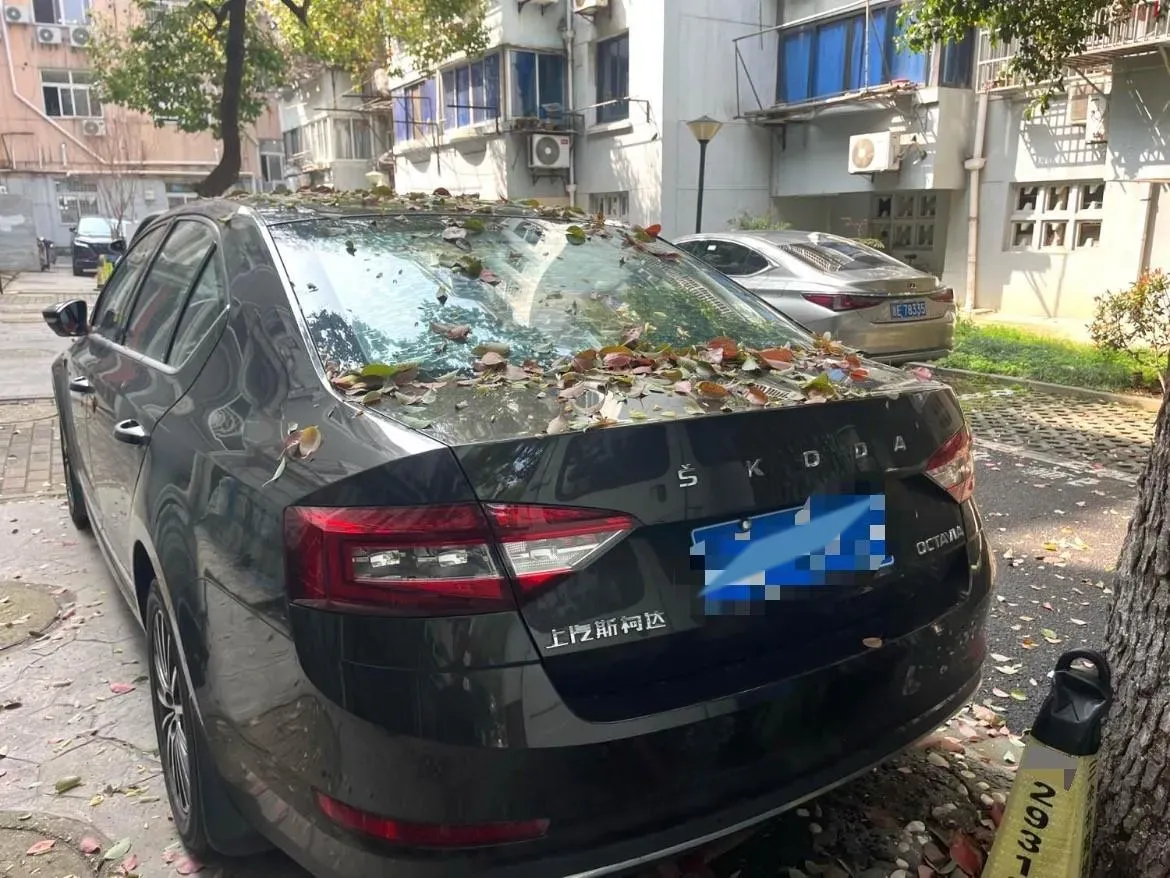 2018 Skoda Octavia 1.6L 110HP L4 6AT,autocango,china used car exporter,china ev exporter,chinese used car exporter,chinese used ev exporter