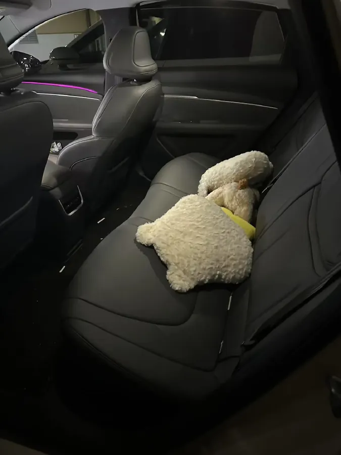 2025 Xpeng MONA M03 BEV,autocango,china used car exporter,china ev exporter,chinese used car exporter,chinese used ev exporter