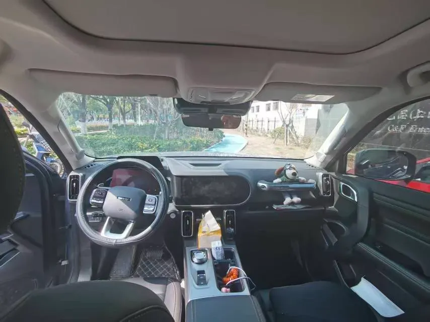 2024 Haval Dargo 2.0T 238HP L4 9DCT,autocango,china used car exporter,china ev exporter,chinese used car exporter,chinese used ev exporter