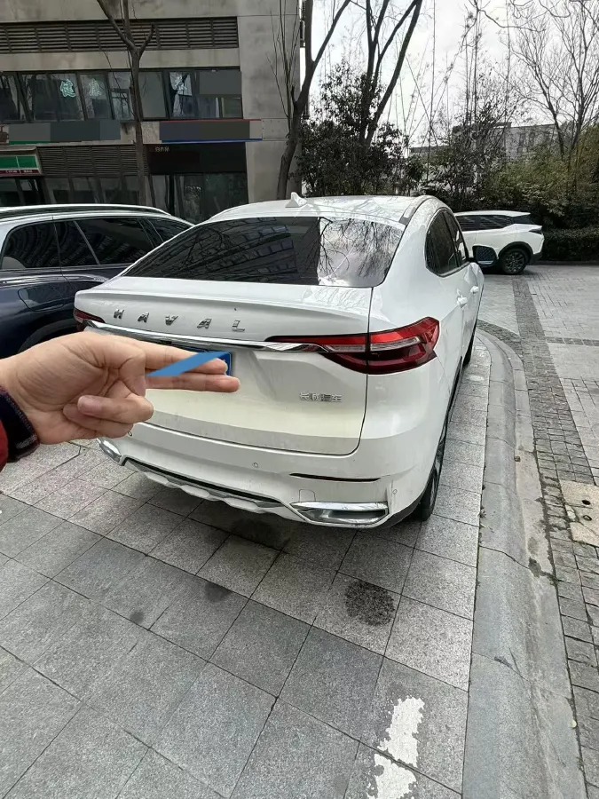 2019 Haval F7x 2.0T 224HP L4 7DCT,autocango,china used car exporter,china ev exporter,chinese used car exporter,chinese used ev exporter