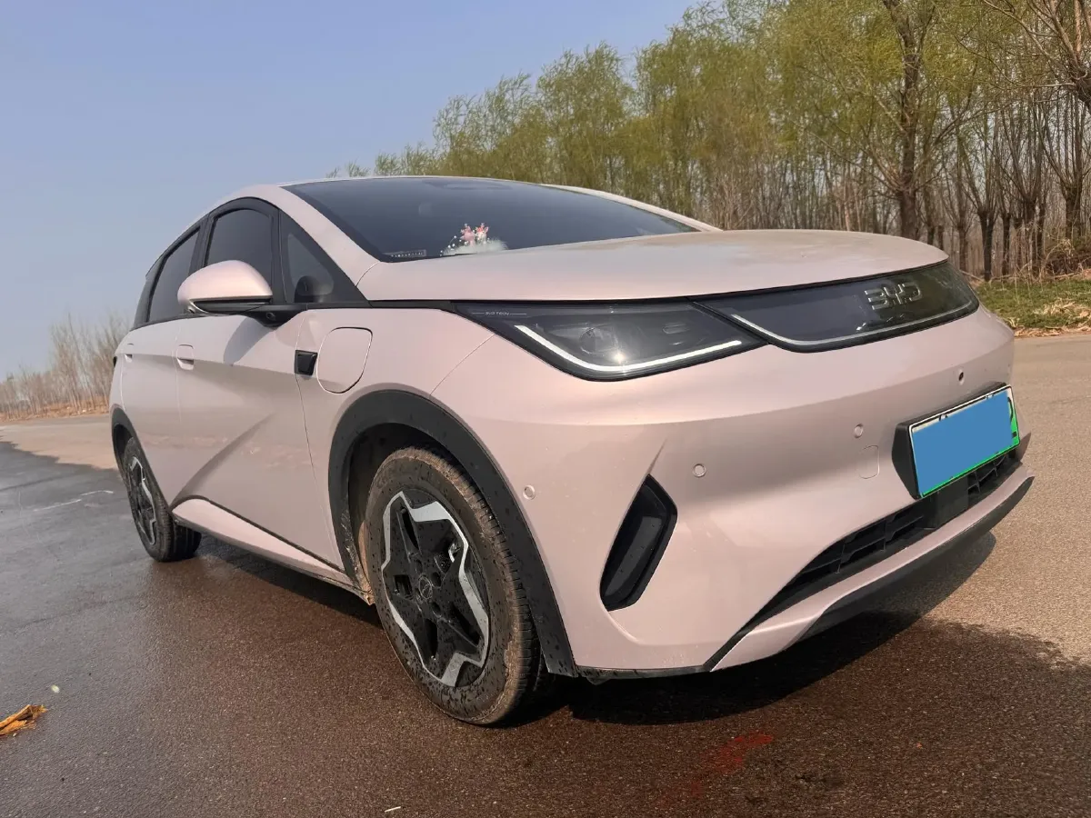 2025 BYD Dolphin BEV 44.928KWH,autocango,china used car exporter,china ev exporter,chinese used car exporter,chinese used ev exporter