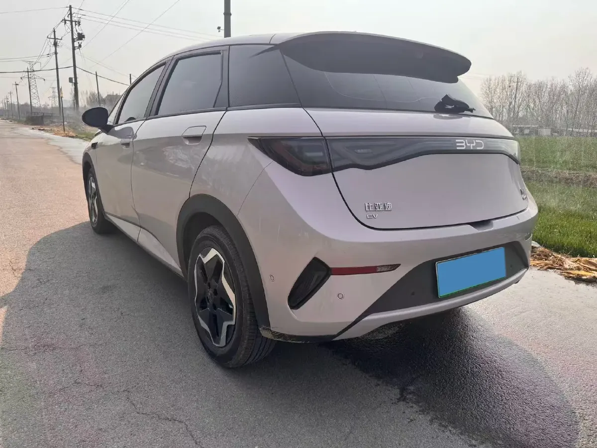 2025 BYD Dolphin BEV 44.928KWH,autocango,china used car exporter,china ev exporter,chinese used car exporter,chinese used ev exporter