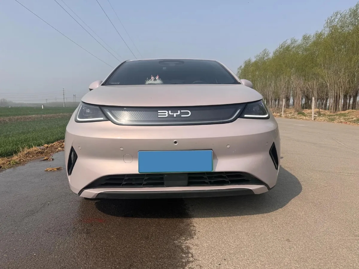 2025 BYD Dolphin BEV 44.928KWH,autocango,china used car exporter,china ev exporter,chinese used car exporter,chinese used ev exporter