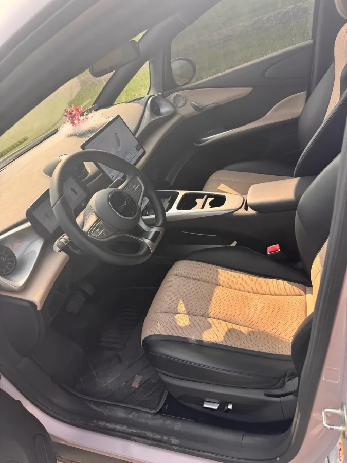 2025 BYD Dolphin BEV 44.928KWH,autocango,china used car exporter,china ev exporter,chinese used car exporter,chinese used ev exporter