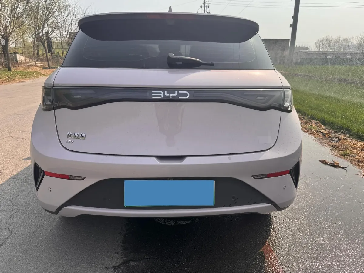 2025 BYD Dolphin BEV 44.928KWH,autocango,china used car exporter,china ev exporter,chinese used car exporter,chinese used ev exporter